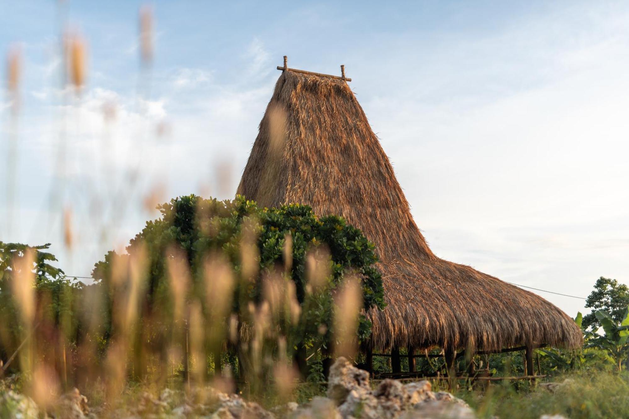 Cap Karoso Sumba - A Member Of Design Hotels Tambolaka Экстерьер фото